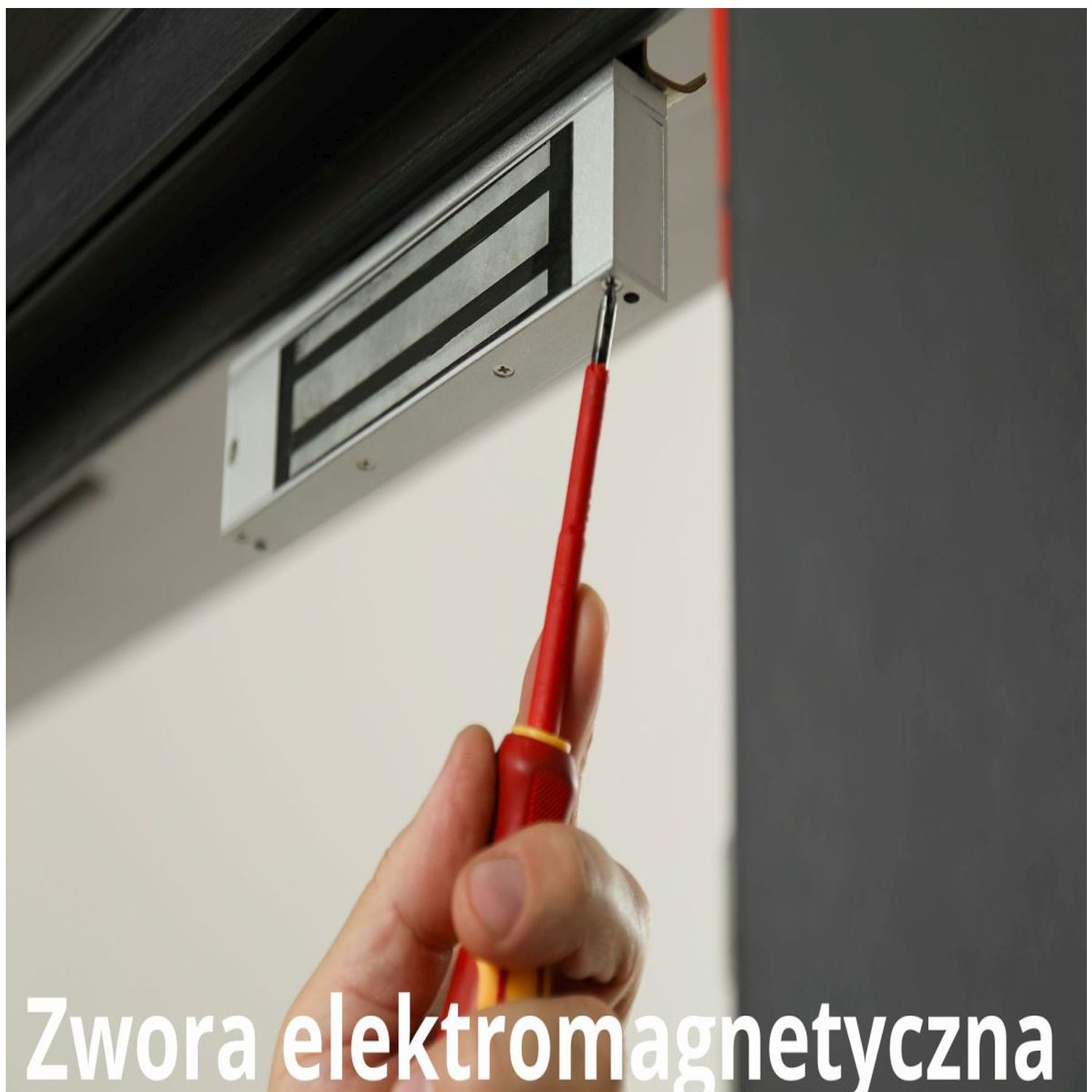 ZWORA ELEKTROMAGNETYCZNA